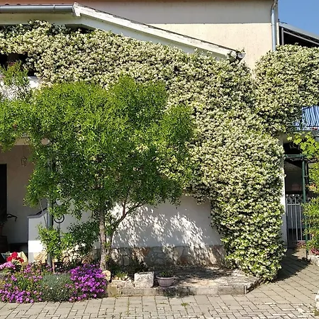 Apartman Sasa B4 - Hr-11069-01 By Interhome Poreč